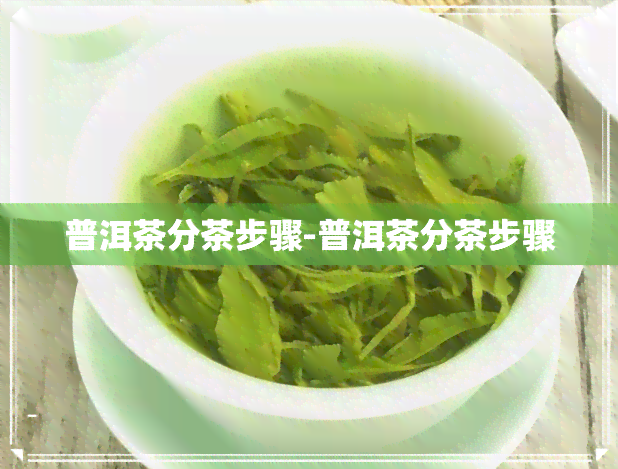 普洱茶分茶步骤-普洱茶分茶步骤