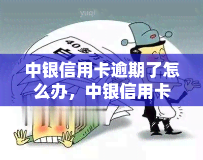 中银信用卡逾期了怎么办，中银信用卡逾期处理攻略：如何避免不良信用记录？