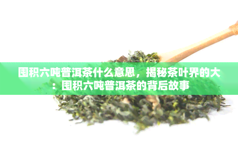 囤积六吨普洱茶什么意思，揭秘茶叶界的大：囤积六吨普洱茶的背后故事