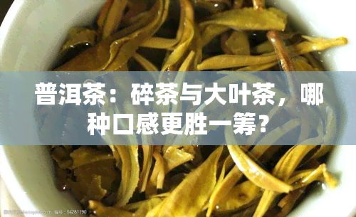 普洱茶：碎茶与大叶茶，哪种口感更胜一筹？