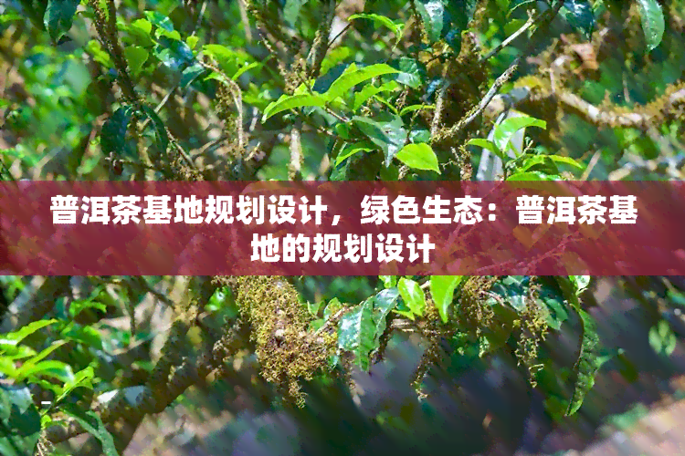 普洱茶基地规划设计，绿色生态：普洱茶基地的规划设计