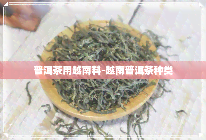 普洱茶用越南料-越南普洱茶种类