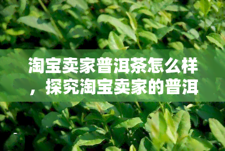 淘宝卖家普洱茶怎么样，探究淘宝卖家的普洱茶质量：一次全面评测