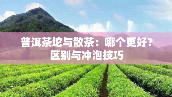 普洱茶坨与散茶：哪个更好？区别与冲泡技巧