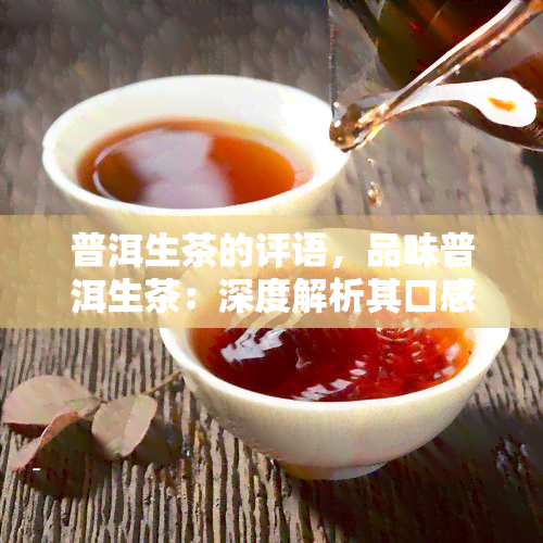 普洱生茶的评语，品味普洱生茶：深度解析其口感与特点