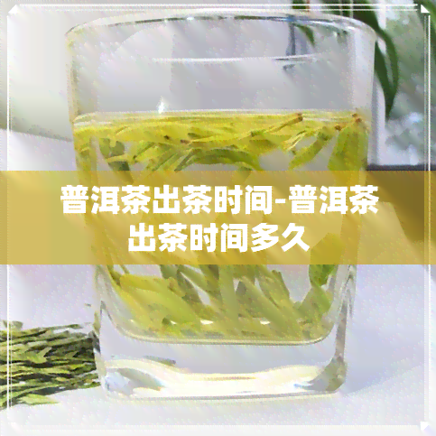 普洱茶出茶时间-普洱茶出茶时间多久