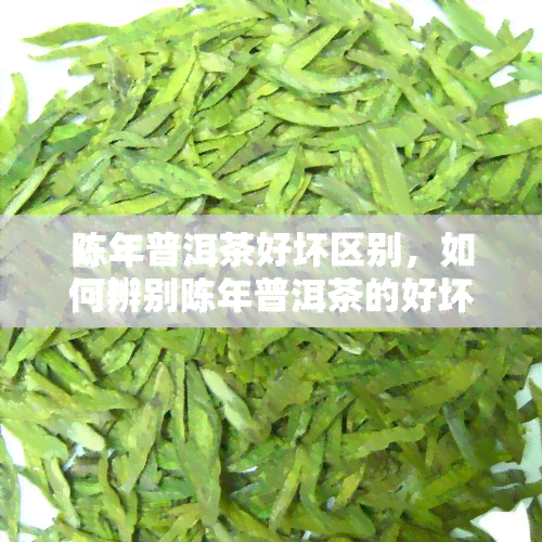 陈年普洱茶好坏区别，如何辨别陈年普洱茶的好坏？