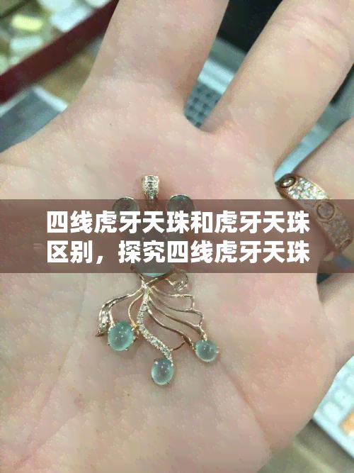 四线虎牙天珠和虎牙天珠区别，探究四线虎牙天珠与普通虎牙天珠的差异