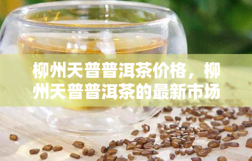 柳州天普普洱茶价格，柳州天普普洱茶的最新市场价格一览