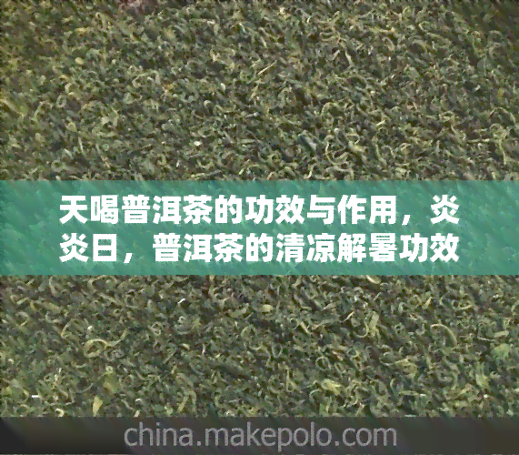 天喝普洱茶的功效与作用，炎炎日，普洱茶的清凉解暑功效你知多少？