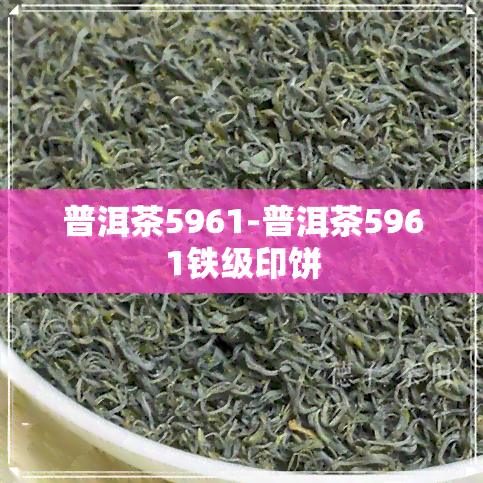 普洱茶5961-普洱茶5961铁级印饼