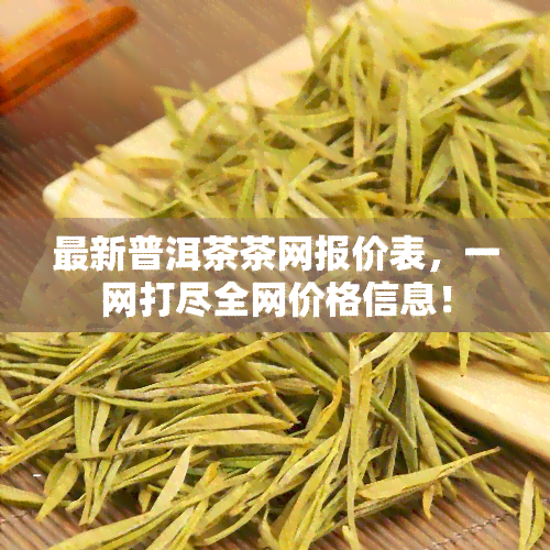 最新普洱茶茶网报价表，一网打尽全网价格信息！