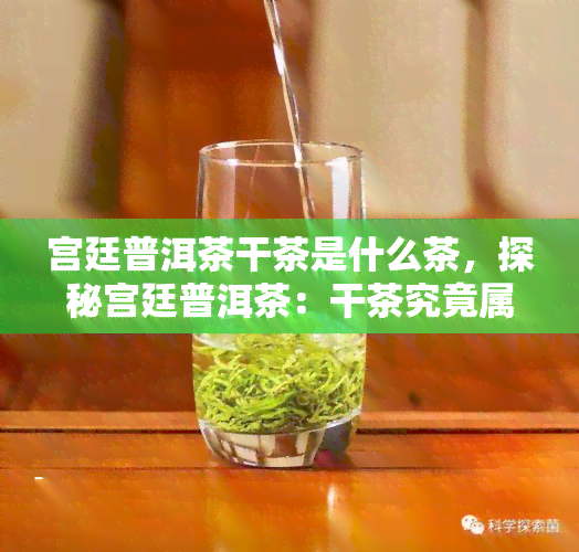 宫廷普洱茶干茶是什么茶，探秘宫廷普洱茶：干茶究竟属于哪类茶叶？