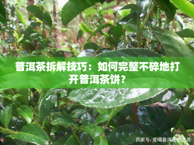 普洱茶拆解技巧：如何完整不碎地打开普洱茶饼？