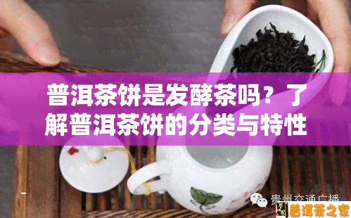 普洱茶饼是发酵茶吗？了解普洱茶饼的分类与特性