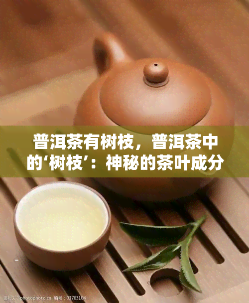 普洱茶有树枝，普洱茶中的‘树枝’：神秘的茶叶成分及其作用