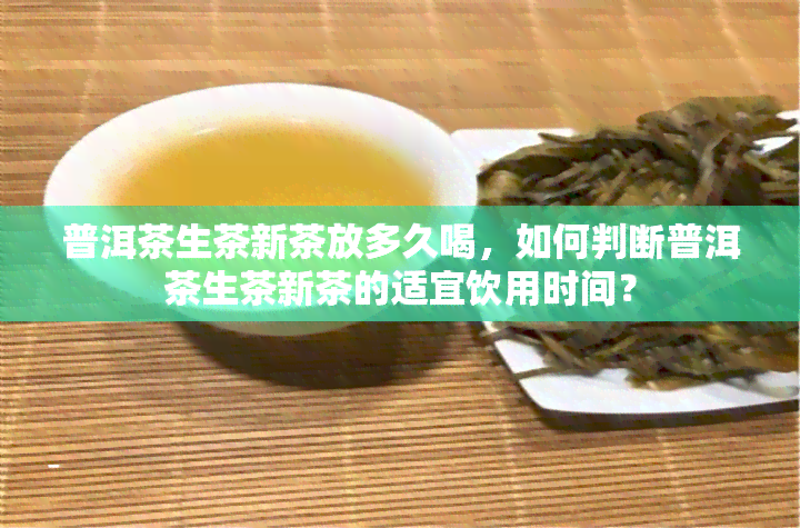 普洱茶生茶新茶放多久喝，如何判断普洱茶生茶新茶的适宜饮用时间？