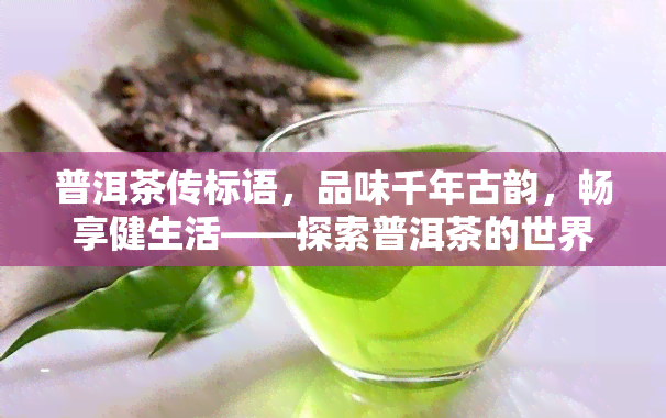 普洱茶传标语，品味千年古韵，畅享健生活——探索普洱茶的世界