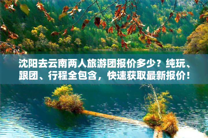 沈阳去云南两人旅游团报价多少？纯玩、跟团、行程全包含，快速获取最新报价！