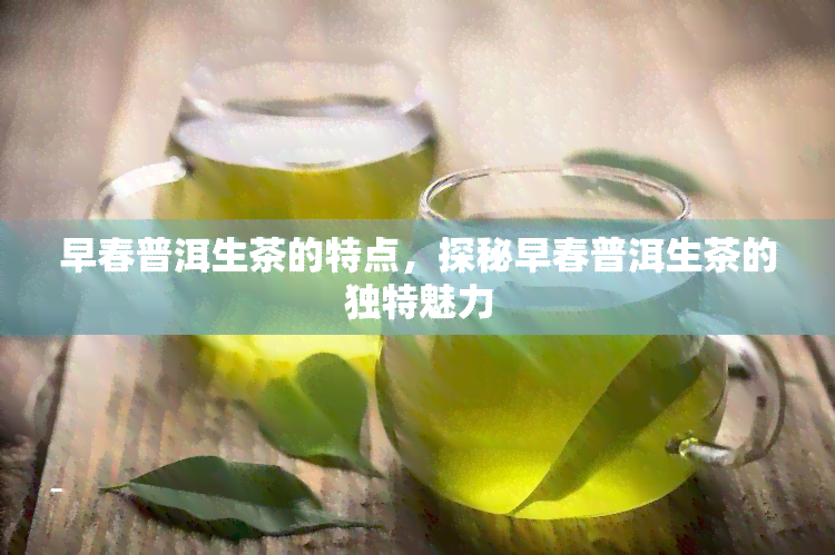 早春普洱生茶的特点，探秘早春普洱生茶的独特魅力