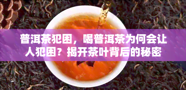 普洱茶犯困，喝普洱茶为何会让人犯困？揭开茶叶背后的秘密