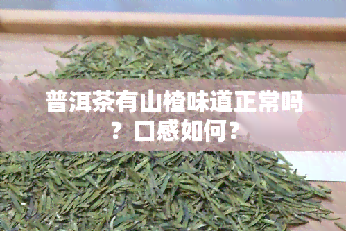 普洱茶有山楂味道正常吗？口感如何？