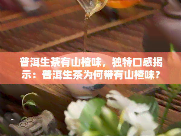 普洱生茶有山楂味，独特口感揭示：普洱生茶为何带有山楂味？