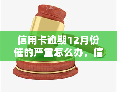 信用卡逾期12月份催的严重怎么办，信用卡逾期12月，升级，如何应对？