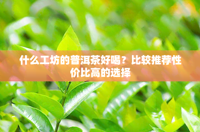 什么工坊的普洱茶好喝？比较推荐性价比高的选择