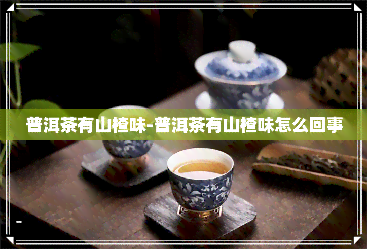 普洱茶有山楂味-普洱茶有山楂味怎么回事