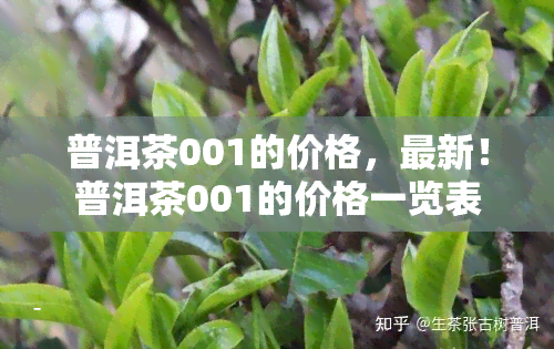 普洱茶001的价格，最新！普洱茶001的价格一览表