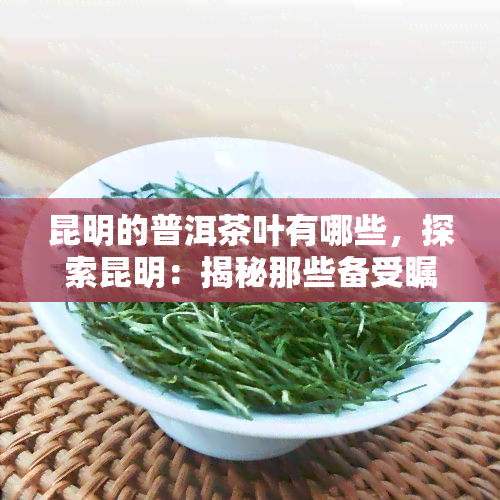 昆明的普洱茶叶有哪些，探索昆明：揭秘那些备受瞩目的普洱茶叶