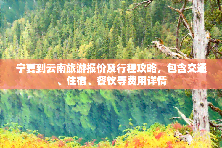 宁夏到云南旅游报价及行程攻略，包含交通、住宿、餐饮等费用详情