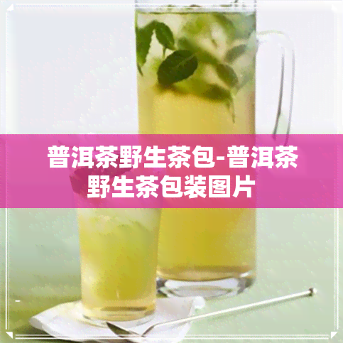 普洱茶野生茶包-普洱茶野生茶包装图片