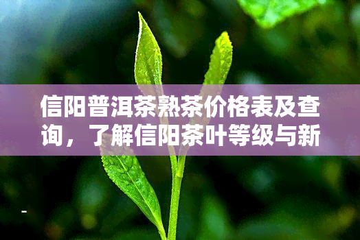 信阳普洱茶熟茶价格表及查询，了解信阳茶叶等级与新茶价格