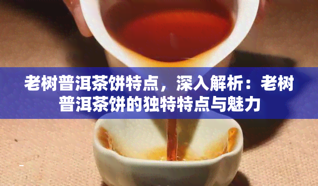 老树普洱茶饼特点，深入解析：老树普洱茶饼的独特特点与魅力