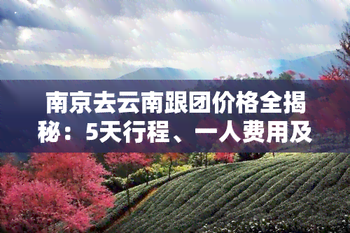 南京去云南跟团价格全揭秘：5天行程、一人费用及详细报价一览