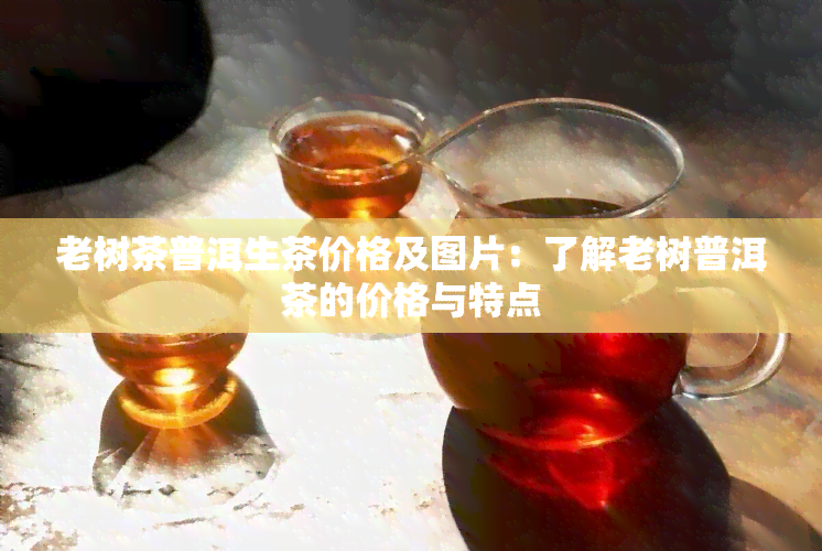 老树茶普洱生茶价格及图片：了解老树普洱茶的价格与特点