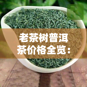 老茶树普洱茶价格全览：最新价格、图片与茶叶种类一网打尽！