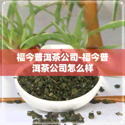 福今普洱茶公司-福今普洱茶公司怎么样