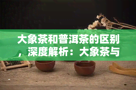 大象茶和普洱茶的区别，深度解析：大象茶与普洱茶的五大区别