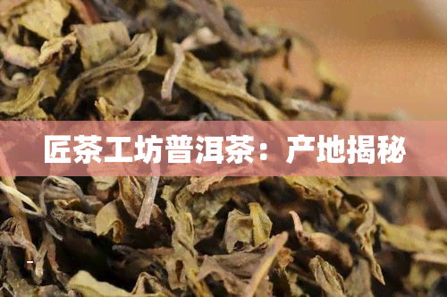 匠茶工坊普洱茶：产地揭秘