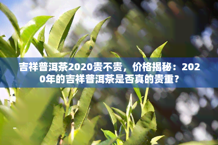 吉祥普洱茶2020贵不贵，价格揭秘：2020年的吉祥普洱茶是否真的贵重？