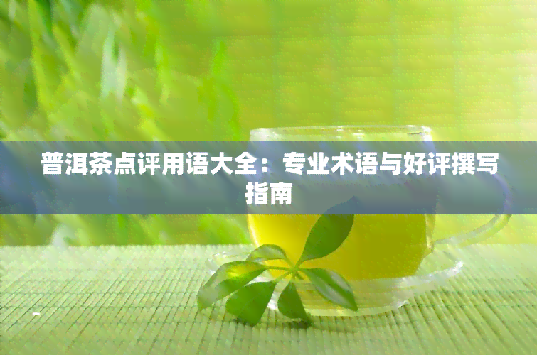 普洱茶点评用语大全：专业术语与好评撰写指南