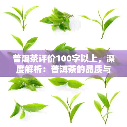 普洱茶评价100字以上，深度解析：普洱茶的品质与口感，百字长文带你了解真正的好茶