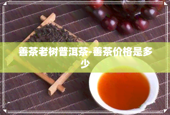 善茶老树普洱茶-善茶价格是多少