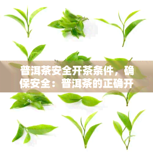 普洱茶安全开茶条件，确保安全：普洱茶的正确开茶方法与条件