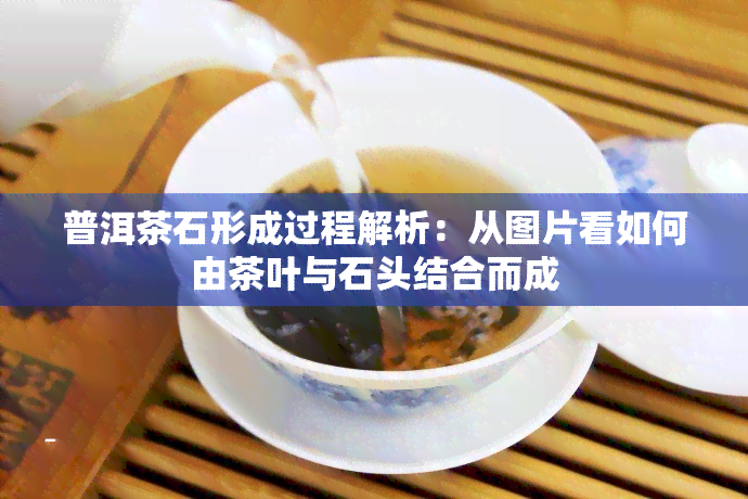 普洱茶石形成过程解析：从图片看如何由茶叶与石头结合而成