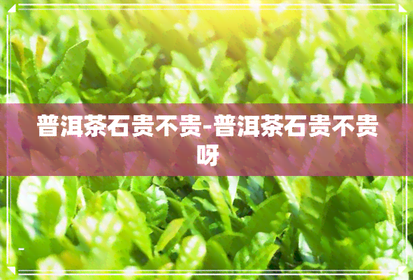 普洱茶石贵不贵-普洱茶石贵不贵呀