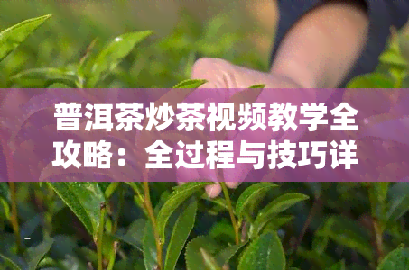 普洱茶炒茶视频教学全攻略：全过程与技巧详解